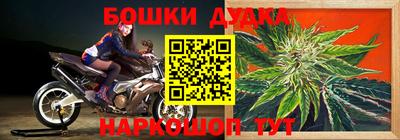 гидропоника Гусь-Хрустальный
