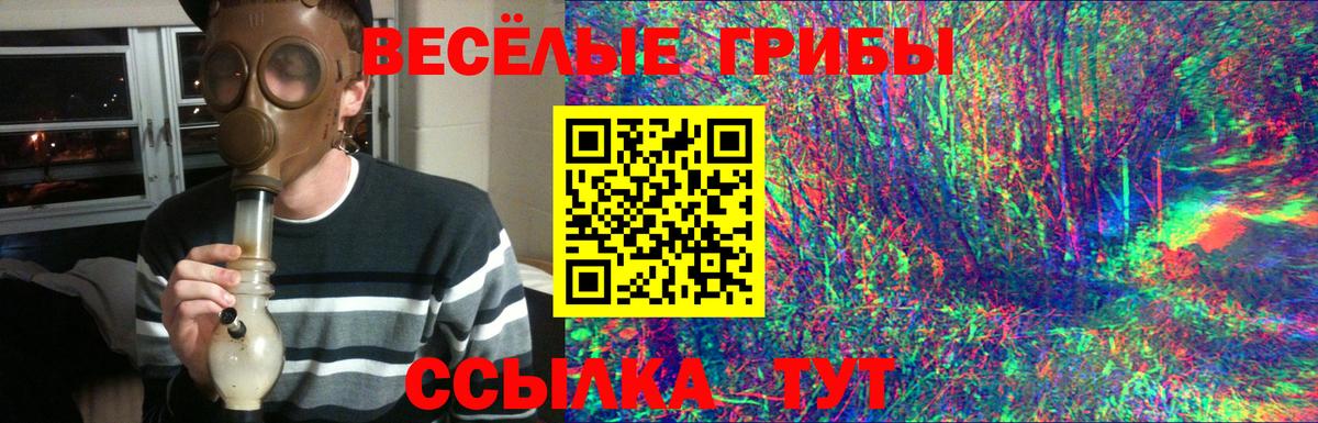 Псилоцибиновые грибы Magic Shrooms  Вход с VPN  купить  сайты  Псилоцибиновые грибы Psilocybe  Кирово-Чепецк 