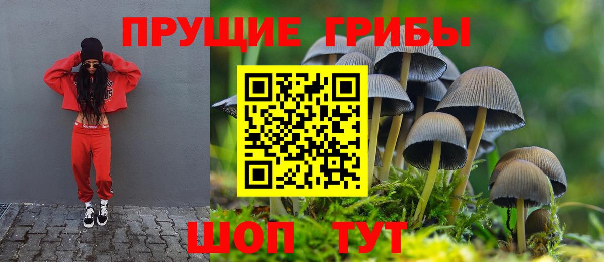Псилоцибиновые грибы прущие грибы Кирово-Чепецк