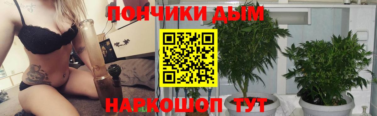 Шишки марихуана марихуана  Бошки марихуана MAZAR  Кирово-Чепецк  Бошки Шишки марихуана  Вход с VPN 